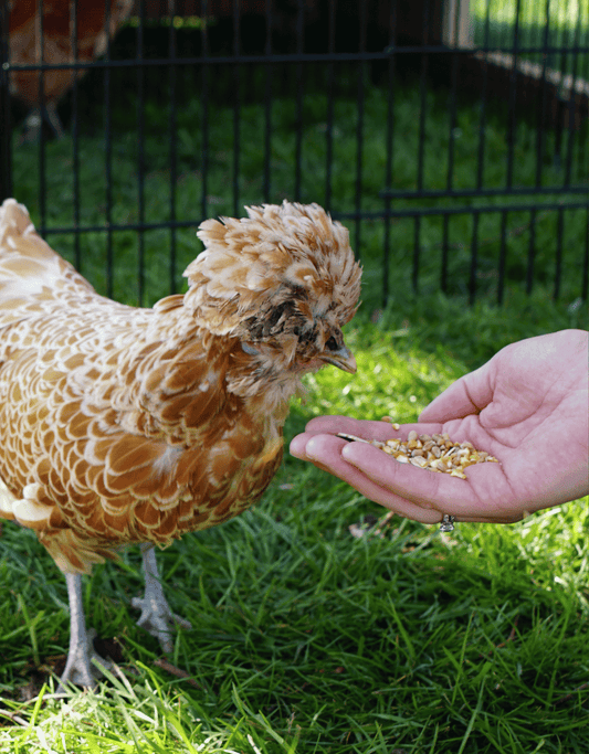 Strooimix / Granen & Zaden