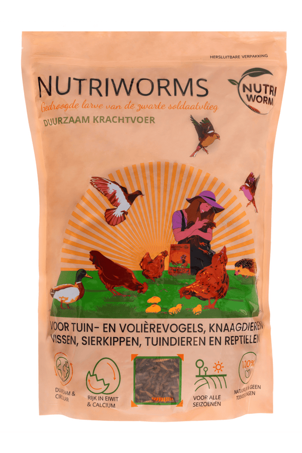 Nutriworms