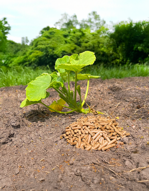 Frass Pakket voor Tuin & Bodem